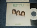 ペニー・レイン PENNY RAIN -  A) 夏まつり　B)  春の一日　 (Ex++/MINT-  )  / 1977 JAPAN ORIGINAL "WHITE LABEL PROMO"  Used 7" Single