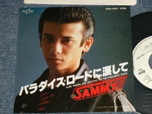 画像1: サミー SAMMY  - A) パラダイス・ロードに涙して TEAR DROPS ARE FALLING ON THE PARADISE ROAD  B) ドゥリーム・オブ・パラダイス・ロード（野生の眼）DREAM OF PARADISE ROAD  ( MINT-/MINT-)   / 1981  JAPAN ORIGINAL "WHITE LABEL PROMO" Used 7" Single 