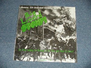 画像1: Various ‎Artists (The Beavers –The Carnabeats  –The Spiders - The Jaguars - D'Swooners  - The Mops  –The Spiders  –The Golden Cups - )–  Big Lizard Stomp!  (SEALED  / 1990 ITALY ORIGINAL "COLOR WAX Vinyl" "BRAND NEW SEALED"  LP