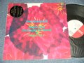 ルースターズ The ROOSTERZ - ストレンジャー・イン・タウン STRANGER IN TOWN  ( Ex++/MINT-) / 1986 JAPAN ORIGINAL "PROMO" Used 12" Single with Title seal OBI 
