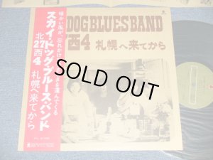 画像1: スカイ・ドッグ・ブルース・バンド SKY DOG BLUES BAND - 北２７西４ 札幌へ来てから(Ex+++/MINT )  / 1978 JAPAN ORIGINAL Used LP with OBI 