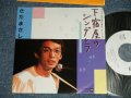 さだまさし  MASASHI SADA  -  下宿屋のシンデレラ（ナショナル洗濯機「愛妻号」イメージソング）( MINT-/MINT) /  JAPAN ORIGINAL "PROMO ONLY CM SONG"  Used 7" Single 