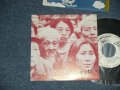 さだまさし  MASASHI SADA  - A) 不良少女白書 B) non One sided　Ex++/MINT- WOFC)   / 1982 JAPAN ORIGINAL "PROMO ONLY ONE SIDED"  Used 7" Single 