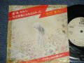 さだまさし  MASASHI SADA  - A) 檸檬  B) 天文学者になればよかった (VG++/MINT-)   /  JAPAN ORIGINAL "PROMO ONLY"  Used 7" Single 