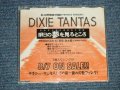 ディキシー・タンタス DIXIE TANTAS - 明日の夢を見るところ (MINT-/MINT) / 1996 JAPAN ORIGINAL "PROMO Only" 3 Tracks Maxi-CD   