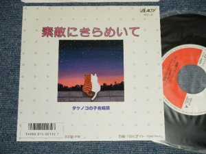 画像1: タケノコの子合唱団 - A) 素敵にきらめいて : 及川洋子 B)パルピテイト (MINT-/MINT) / 1986  JAPAN ORIGINAL Used 7" Single 