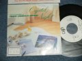 1986 オメガトライブ 1986 OMEGA TRIBE - A) Crystal Night  B)  non / 1987 JAPAN ORIGINAL "PROMO ONLY" Used 7" Single  
