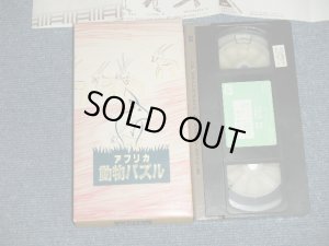 画像1: 大貫妙子 TAEKO OHNUKI - アフリカ動物パズル (Ex+++/MINT) / 1985 JAPAN ORIGINAL Used VIDEO 