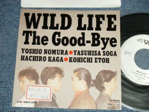 画像1: The Good-Bye - A) WILD LIFE  B) TRUE LOVE (Ex++/Ex+++, MINT- STOFC)  / 1989 JAPAN ORIGINAL "PROMO ONLY" Used 7" Single