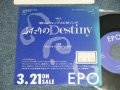 エポ EPO - A) ふたりのDestiny  B) YOU'RE THE ONLY ONE (Ex++/MINT- STOFC, WOL) / 1989 JAPAN ORIGINAL "Promo Only" Used 7" Single