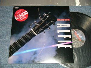 画像1: アルフィー ALFEE - GREENHORN / VICTOR YEARS 1974-1976 (MINT-/MINT)  / 1984 JAPAN ORIGINAL Used  LP with SEAL OBI  