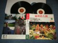 Shing02 - 緑黄色人種   (Homo Caeruleus Cerinus Instrumentals) (Ex+++/Ex+++)  / 1999 JAPAN ORIGINAL Used  2-LP 