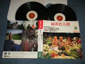 画像1: Shing02 - 緑黄色人種   (Homo Caeruleus Cerinus Instrumentals) (Ex+++/Ex+++)  / 1999 JAPAN ORIGINAL Used  2-LP 