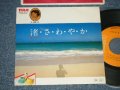 梅垣達志 TATSUSHI UMEGAKI - A) 渚・さ・わ・や・か  B) ハリケーン (Ex+++/MINT-) / 1977 JAPAN ORIGINAL Used 7"45 Single  
