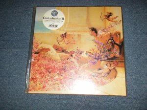 画像1: 布袋寅泰 TOMOYASU HOTEI (of BOOWY ボウイ)  - GUITARHYTHM II  ギタリズム II (MINT/MINT) / 1991 JAPAN ORIGINAL "Limited Edition" Used LP with SEAL OBI 