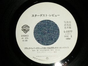 画像1: スターダスト・レビュー STARDUST REVUE  - A) 銀座ネオン・パラダイス B) non  (No Cover /Ex+++ )  / 1981 JAPAN ORIGINAL "PROMO ONLY ONE SIDED" Used 7" Single 