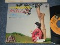 （うた）川島和子  （演奏）寺内タケシとブルージーンズ  TERAUCHI TAKESHI & The BLUE JEANS - NHKみんなのうた　「かくれんぼ」 (MINT-/MINT ) / 1980 JAPAN ORIGINAL Used  7" 45 rpm Single シングル