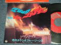 寺内タケシとブルージーンズ  TERAUCHI TAKESHI & The BLUE JEANS -  A) マジック・ファイヤー MAGIC FIRE  B) レ・マリ・デ・ママ MARY'S MAMA  (VG+++/Ex+++ STOFC, WOFC, SPLIT) / 1974 JAPAN ORIGINAL Used  7" 45 rpm Single シングル