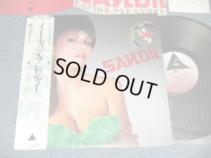 画像1: サンディ(サンディー＆サンセッツ SANDII AND SUNSETZ) - イーティン・プレジャー EATING PLEASURE (MINT-/MINT-)  / 1980 JAPAN ORIGINAL Used LP with OBI