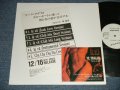 林哲司 TETSUJI HAYASHI - フェビット  FE VIT  (Ex+++/MINT) / 1990 JAPAN ORIGINAL "PROMO ONLY" Used 12"