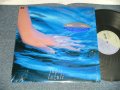 尾崎亜美 AMII OZAKI  - Lapis Lazuli (MINT/MINT-) /1988 JAPAN ORIGINAL Used LP with SEAL OBI
