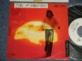 かまやつひろし HIROSHI KAMAYATSU -  A) 汽笛一声夕陽が沈む B) 三人組 (Ex/MINT WOFC, SEAL REMOVED MARK) / 1976  JAPAN ORIGINAL "White Label PROMO” Used 7" Single 