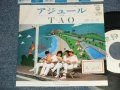 TAO - A) アジュール AZUR   B) DO YOU REMEMBER (Ex+/MINT- STOFC, SWOFC) / 1983 JAPAN ORIGINAL "PROMO" Used 7" Single 