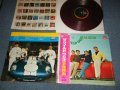 ザ・ワイルド・ワンズ　THE WILD ONES - ザ・ワイルド・ワンズ アルバム THE WILD ONES  ALBUM (Ex++/Ex++) /1967 JAPAN ORIGINAL "RED WAX Vinyl" Used LP  With OBI & PINUPS 