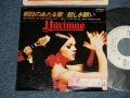 ハリマオ HARIMAO - A) 朝日の当たる家 THE HOUSE OF THE RISING SUN  B) 悲しき願い DON'T LET ME BE MISUNDERSTOOD (Ex++/MINT-  STOFC, WOFC)   / 1978 JAPAN ORIGINAL "WHITE LABEL PROMO" Used  7" Single 