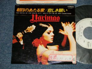 画像1: ハリマオ HARIMAO - A) 朝日の当たる家 THE HOUSE OF THE RISING SUN  B) 悲しき願い DON'T LET ME BE MISUNDERSTOOD (Ex++/MINT-  STOFC, WOFC)   / 1978 JAPAN ORIGINAL "WHITE LABEL PROMO" Used  7" Single 
