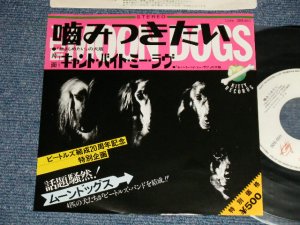 画像1: ムーンドッグス MOON DOGS - A) 噛みつきたい（抱きしめたい）I WANT TO HOLD YOUR PAW (I WANT TO HOLD YOUR HAND)  B) CAN'T BUY ME LOVE  (Ex+++/MINT-)/ 1982 JAPAN ORIGINAL "PROMMO" Used 7" Single シングル