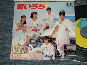 画像1: ホワイト・タイガース WHITE TIGERS -  A)狙いうち  B) もっとFANTASY  (Ex+++/MINT- STOFC) / 1988 JAPAN ORIGINAL "PROMO" Used 7" Single シングル