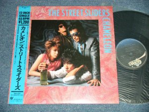 画像1: ストリート・スライダーズ The STREET SLIDERS - カメレオン CHAMELEON ( MINT-/MINT-, Ex++)   /1984 JAPAN ORIGINAL Used 12" with OBI 