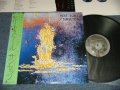サンセッツ SUNSETZ (SANDII AND SUNSETZ) - ヒート・スケール HEAT SCALE (MINT-/MINT-  Looks:Ex++) / 1981 JAPAN ORIGINAL Used LP with OBI  
