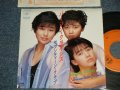 セブンティーン・クラブ SEVENTEEN CLUB - A) バージン・クライシス VIRGIN CRISIS  B)不思議な帰れNight (MNT-/MINT) / 1985 JAPAN ORIGINAL "PROMO" Used 7"SINGLE