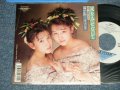 ウインク WINK - A) 涙をみせないで  B) ONLY LONELY (MINT-/MINT BEND) /  1989 JAPAN ORIGINAL "STOCK COPY" Used 7" Single