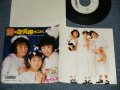 チャイルズ CHILDS - A) 恋は魚河岸のごとく  B) Shijimiちゃん (MINT-/MINT-) / 1988 JAPAN ORIGINAL "WHITE LABEL PROMO" Used 7" Single