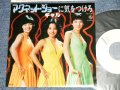 ギャル GAL - A) マグネット・ジョーに気を付けろ B) 珈琲をいれましょう (MINT-/MINT-) / 1978 JAPAN ORIGINAL "WHITE LABEL PROMO" Used 7" Single