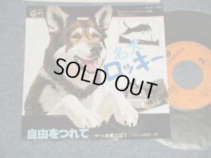 画像1: TV ost  小田裕一郎  YUICHIRO ODA -  テレビ映画「名犬ロッキー」主題曲 A) 自由をつれて  B)お前とぼく (Ex+++/MINT-) /1980 JAPAN ORIGINAL Used 7" 45 rpm Single 