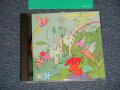 今田勝 MASARU IMADA - レインボー・アイランド RAINBOW ISLAND (MINT-/MINT) / 1985 JAPAN ORIGINAL Used CD 