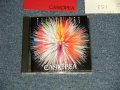 カシオペア CASIOPEA - FULL COLORS :With INSERTS (Ex+/MINT) / 1991 JAPAN ORIGINAL Used CD 
