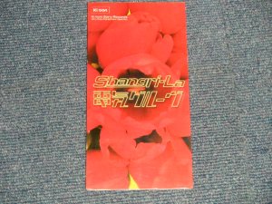 画像1: Denki Groove 電気グルーヴ - Shangri-La (MINT-/MINT) / 1997 JAPAN ORIGINAL "PROMO" Used 3" 8cm CD Single 