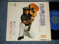 夏木ひろし HIROSHI NATSUKI - A) スタコイ東京  B) 津軽ダッキャ節 (Ex/Ex  STOFC, SPLIT) / 1970's JAPAN ORIGINAL "PROMO" Used 7" Single 