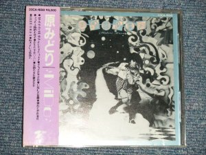 画像1: 原みどり MIDORI HARA - MIDO (MINT-/MINT) / 1987 JAPAN ORIGINAL Used CD with OBI 