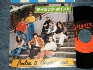 画像1: ペドロ＆カプリシャス PEDRO & CPRISIOUS - A) ライラック・ポイント B) ジャマイカの熱い風  (MINT-/MINT-) / 1979 JAPAN ORIGINAL Used 7" Single  シングル
