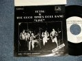 TETSU & THE GOOD TIMES ROLL BAND (山内テツ) - A) DON'T YOU NEED SOMEBODY  B) 634-5789  (Ex++/Ex+++ WOFC) /  1977 JAPAN ORIGINAL "PROMO ONLY" Used  7" シングル