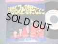 フォー・ナイン・エース 4.9.1.(With JOE YAMANAKA / ジョー・山中 在籍)  FOUR NINE ACE ‐ A) 悲しみの果てに  B) ノー・ベイビー・ナウ (Ex+++/MINT-) / 1968 JAPAN ORIGINAL "WHITE LABEL PROMO" Used 7" シングル