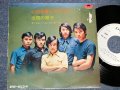 ブルーベル・シンガーズ THE BLUEBELL SINGERS - いのち淋しのワルツ(VG++/Ex+++ TEAR/BROKEOFC, WOBC, ATPOBC) / 1970 JAPAN ORIGINAL "WHITE LABEL PROMO" Used 7" Single 