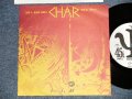 CHAR チャー - A) BLACK SHOES  B) 左胸の砂丘 (Ex++/MINT SWOFC ) / 1988 JAPAN ORIGINAL "PROM ONLY" Used 7"Single