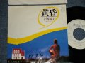 大橋純子 JUNKO OHASHI -  A) 黄昏   B) ポストカード・ファンタジィ (Ex++/MINT-) / 1982 JAPAN ORIGINAL "WHITE LABEL PROMO" Used 7"Single